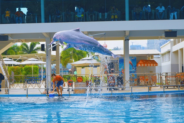 Sentosa Singapore Package