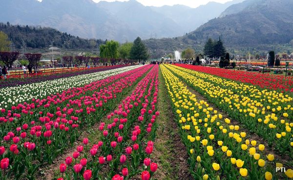 Explore Kashmir Tour