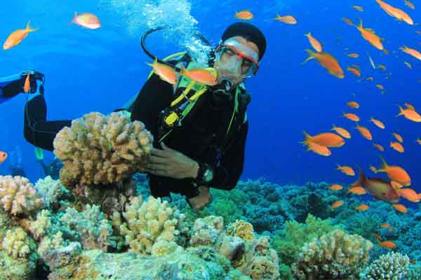 Coral Andaman