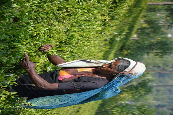 Golf Getaway Colombo